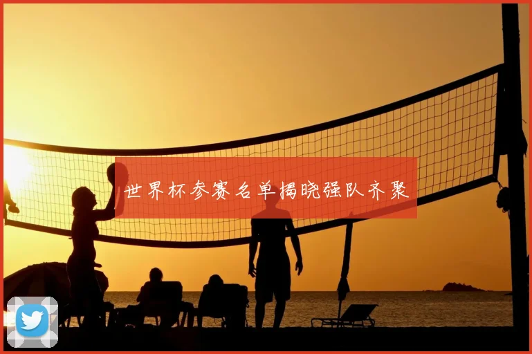 世界杯参赛名单揭晓强队齐聚