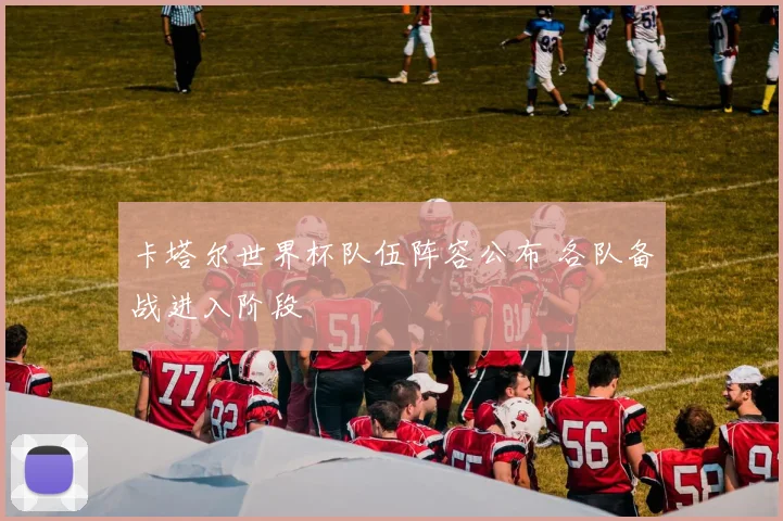 卡塔尔世界杯队伍阵容公布 各队备战进入阶段