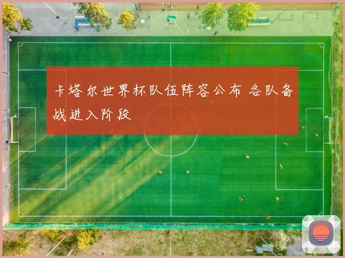 卡塔尔世界杯队伍阵容公布 各队备战进入阶段